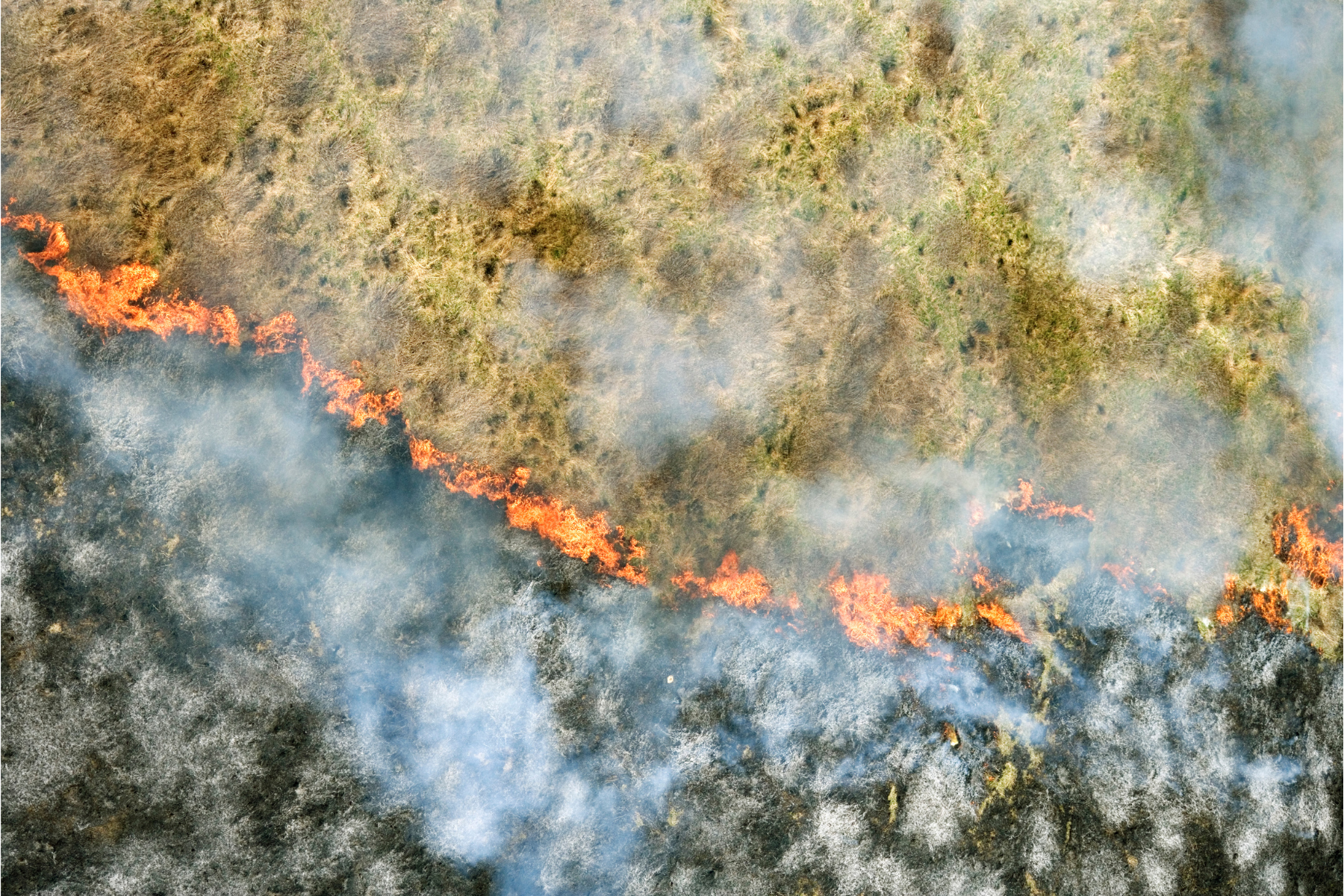 Blackshark.ai takes on the XPRIZEWildfire Challenge: A Leap Towards Revolutionizing Wildfire Management